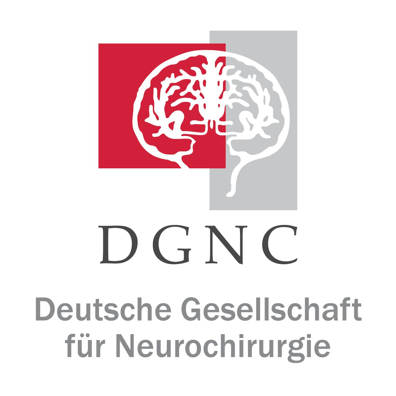 Logo Deutsche Gesellschaft für Neurochirurgie